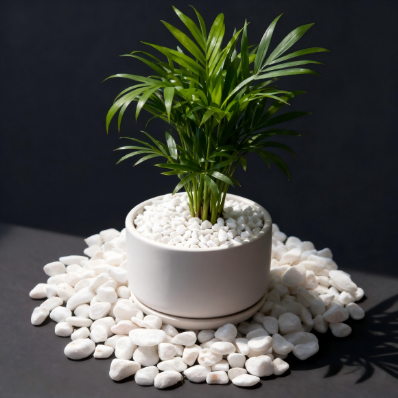 product-580-580 product-580-580